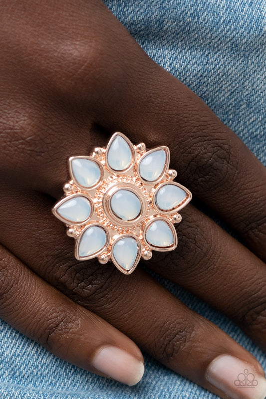 Paparazzi Accessories - Enchanted Orchard - Rose Gold rings